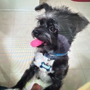 Meet your Posher, Kim